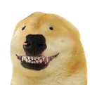 neldoge2 neldoge2
