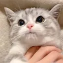 emoji_6 emoji_6