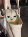 emoji_16