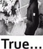 MeekTrue