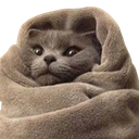 cozycat Discord emoji