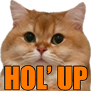 HoldUp Discord emoji
