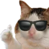 wecool