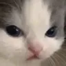 not_hehe