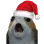 XmasPorg
