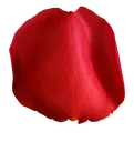redpetal