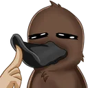 DavidBOOP