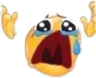 noooooooooooooooooooo