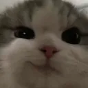 catsmirk
