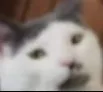 stare stare