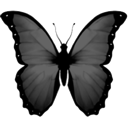 A_butterfly002 Discord emoji
