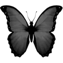 A_butterfly002