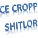 Nicecropp2