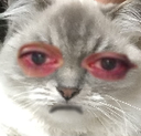 gadseadmUm8Uhr