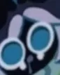 ScaredSquib