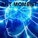 Ant_Moment