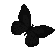 ay_butterflyblack