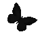 ay_butterflyblack