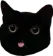 ay_blackcatbleh ay_blackcatbleh