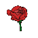 ar_rosered