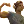 Opinionrejected