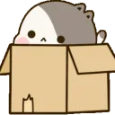 akaterbox akaterbox