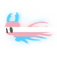 transDash