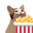 catcampopcorn