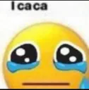 icaca icaca