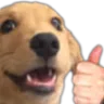 dogeokay