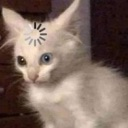 wtf Discord emoji