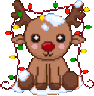 Reigndeer