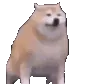 DogLeave_Ocaso