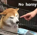 nohorni
