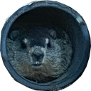 cyberchuck Discord emoji