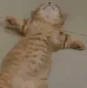 ded