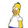 homerhide