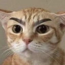 catseriao Discord emoji