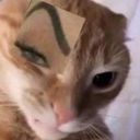 catduvidando Discord emoji