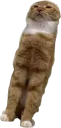 WhenHe WhenHe