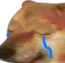 Sad_Cheems