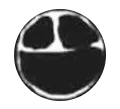 TheVoid TheVoid