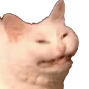 hiss