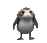 fk_porg