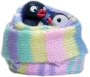 cuddlepingu
