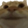 catYep catYep