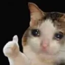 t_okmeow