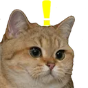 Whatcat 1 Discord Emoji