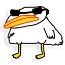 duckcool