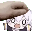 pet